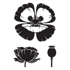 Graphic Poppy Flower and Seed Pod Block-Print Style Icons
