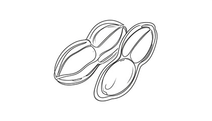 Hand-drawn vector illustration of two peanuts in shells, isolated on white background