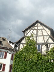 Lush green ivy climbs a charming half-timbered house in Strasbourg, France, creating a picturesque scene