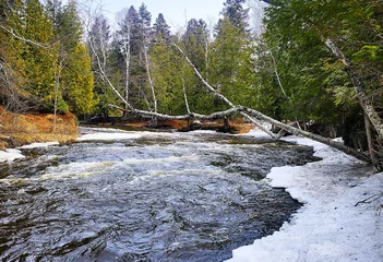 Gardinen river in the forest © Lesya