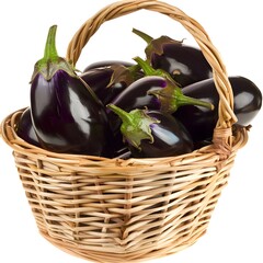 a full basket of   brinjals on isolated eggplant