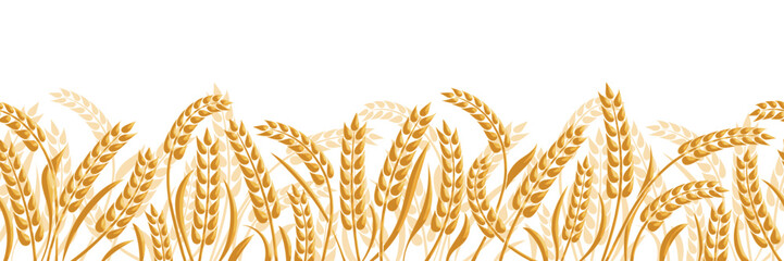 Wheat field, ears of wheat, rye or barley, agriculture and harvest, seamless border, isolated silhouette on white background, vector drawing