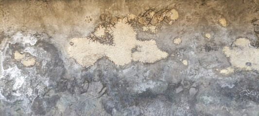 Close-up of a weathered, dirty and moldy plastered light gray concrete wall background., Weathered, dirty and cracked plastered concrete wall with mold.