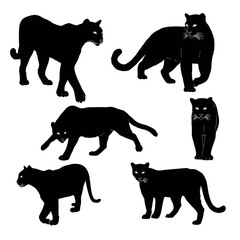vector illustration of cougar silhouette set, Black & White silhouette set 