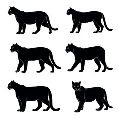 vector illustration of cougar silhouette set, Black & White silhouette set 