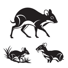 Chevrotain Silhouettes as a Tiny Mouse Deer Icon Set