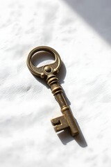 A single ornate vintage brass key rests on a white textured background, its shadow suggesting mystery and solutions