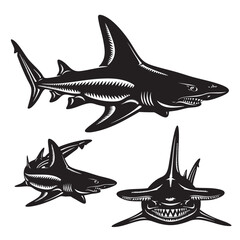 Stethacanthus Silhouettes as a Bizarre Prehistoric Shark