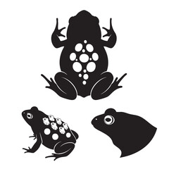 Set of 3 Surinam Toad Silhouettes as a Unique Amphibian Icon Set
