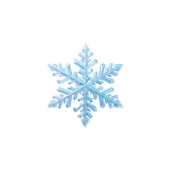Blue Crystal Snowflake Icon on White Background - 3D Render