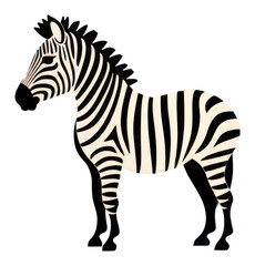 Fototapeta premium PNG Zebra wildlife animal mammal.