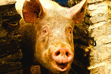 close up of a pig in a farm