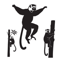 Set of 3 Sifaka Silhouettes as a Dancing Lemur Vector Set
