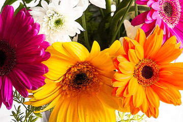 yellow and orange flowers