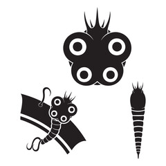 Set of 3 Tapeworm Scolex Silhouettes as a Cestode Parasite Set