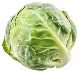 Fototapeta premium PNG Brussels sprout vegetable cabbage food.