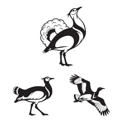 Set of 3 Bustard Silhouettes as a Heavy Terrestrial Bird Icon Set