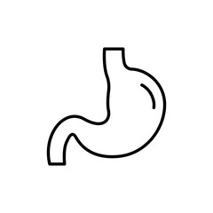 Digestive Stomach Icon, Human Organ Illustration, Medical and Anatomy Line.
