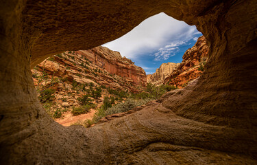 canyon of the gods