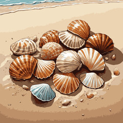 vector illustration of shells on beach