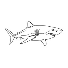 Obraz premium shark, continuous one line art silhouette, black and white, vector illustration, isolated on white background