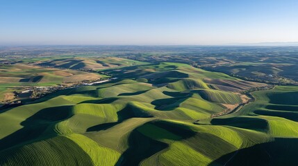 Rolling green agricultural fields under a clear blue sky, showcasing vast rural landscape beauty and farm cultivation.