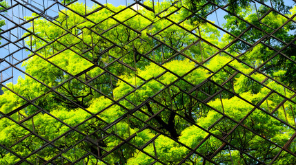 Geometric Patterns on Green Glass Window Wall of Contemporary Office