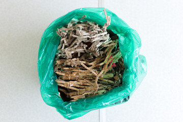 Close Up Of Translucent Green Bag Containing Strips Of Recycled Cardboard And Paper Waste