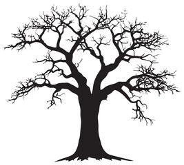 Baobab tree silhouette