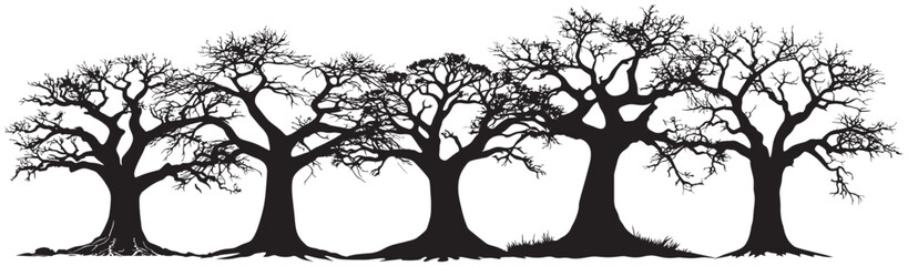 Baobab tree silhouette landscape scene