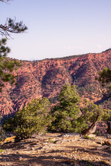 Summer Sunrise Red Rock Views of Parowan Canyon Southern Utah Hoodoos 