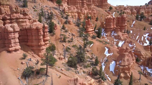 Dixie National Forest
