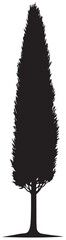 Cypress tree silhouette element