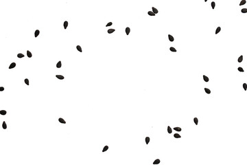 Black sesame seeds isolated on white background