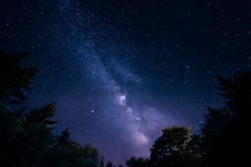 Silhouette of person stargazing under starry night sky