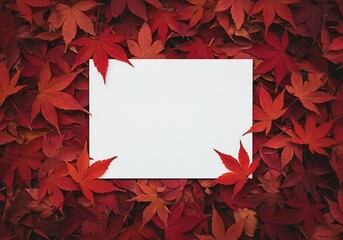 Autumn Maple Leaves Frame with Blank Paper for Text