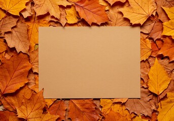 Autumn Leaves Frame with Blank Paper for Text