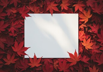 Autumn Leaves Frame with Blank Paper for Text or Design