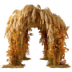 high-resolution rustic arch of pampas and golden dry leaves isolated on transparent background