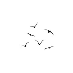 Bird Silhouette Pattern of Flying Flock
