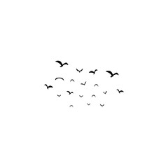 Freedom Concept Birds Flying Silhouette