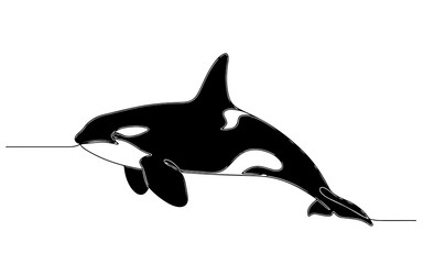 Obraz premium orca, continuous one line art silhouette, black and white, vector illustration, isolated on white background