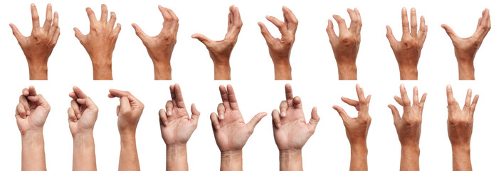 GROUP of Male Asian hand gestures isolated over the white background. Soft Grab Action. Touch Action.