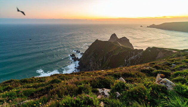 Majestic coastal cliffs at golden hour with a soaring bird over the scenic ocean. - Powered by Adobe