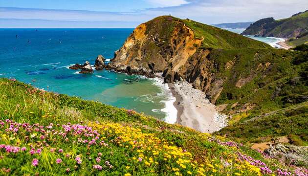 Scenic coastal landscape with colorful wildflowers blooming above a secluded ocean cove