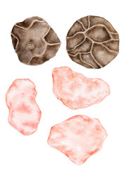 Watercolor hand drawn elements set with pink Himalayan salt crystals and black pepper pods on white background. Ideal for recipe cards, herb packaging, food labels, or kitchen graphics