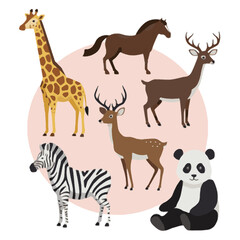Cute animal collection giraffe zebra horse deer panda cartoon illustrations