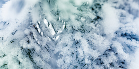 Winter nature banner Pine tree branches snow covered, close up snowy needles texture, macro trend photo, winter holidays vibes, snowy fir trees forest, frost on twig, green blue monochrome