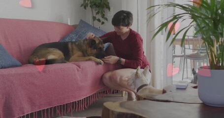 Woman reaching to stroke dog, offering treat, petting dogs with animated pink hearts for pet health - Powered by Adobe