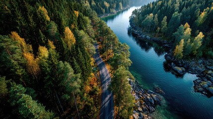 Aerial drone view of road between forest and lake in Finland, top-down Nordic landscape with serene water and trees, ideal for freedom, travel, exploration, and scenic adventure themes